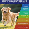 Vitamin B for Dogs, 200 Tablets, Vitamin B Complex Contains B12, B1, B2, B3, B5, B6, B7, B9 Supports Energy, Appetite, Digestive, Skin, Coat, Neurological Health, Suitable for Cats and Dogs(1 Bottle)
