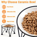 Elevated Ceramic Cat Bowls – Whisker-Friendly & Anti-Vomiting, Non-Slip Raised Cat Food Dishes – Stylish, Safe & Hygieni