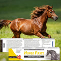 12 Pack Equine Paste 1.87% – (6.08g Each) Apple Flavored Oral for Horse