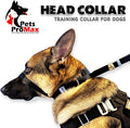 PetsProMax No-Pull Dog Headcollar for Large Dogs (Size L) - Instantly Stops Pulling, Comfortable & Safe Training Collar,