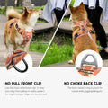 Timos Dog Harness, No Pull Large Sized with 3 Buckles, Flower Orange, L