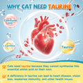 Taurine for Cats Drop - Taurine Supplement for Cats, Supports Feline Heart & Immune Function, Vision, Energy & Vitality, Coenzyme Q10, L-Carnitine, L-Arginine, Vitamin, Liquid Cat Taurine 60ML