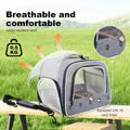 Bird Transport Carrier for Large Bird with Perch Stand Tray and Grate
