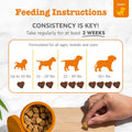 Zesty Paws Puppy Probiotics for Dogs - for Digestive Health, Gut Flora & Immune System Support - Dog Probiotics for Puppies with Bacillus subtilis & Pumpkin - 90 Count