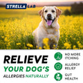 StrellaLab Dog Allergy & Itching Relief - Skin&Coat Support Chews w/Omega 3