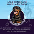 Probiotic Odor Eliminator – Plant-Based, Non-Toxic & Cruelty-Free – Neutralizes Pet Odors at the Source – Vegan, Gentle 