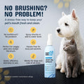 Pets are Kids Dog Dental Spray with Mint Formula Water Additive, 8oz