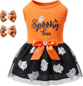 Halloween Orange/Large