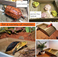 3pcs Tortoise Food Dish with Ramp and Basking Platform Leaf Tortoise Water Food Bowls Reptile Water Dish Turtle Reptile 