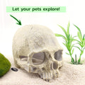 CTWPets Aquarium Human Skull Decor for Betta Fish, Sinking Hide Shrimp Hide