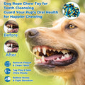 Norvy 40 Inch Dog Rope Toy for Aggressive Chewers, Heavy Duty Tug of War Chew Toy with Closed Double Loop Handles and 6 