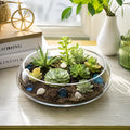 Jucoan 0.9 Gallon Glass Fish Bowl with Decor, Clear Round Shallow Glass Bowl for Betta Fish and Aquatic Plants, Includes