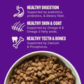 Wellness Complete Health Small Breed Adult Dry Dog Food, Wholesome Grain Kibble, Natural, Turkey and Oatmeal Recipe, 4 l