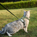 pangdi Cat Harness and Leash Escape Proof Extra Large Kitten Harness Maine Coon Cat Vest for Walking Travel, Dark Green, XL