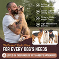 All American Canine Dog Weight Gainer Liquid – High Calorie Dog Food Supplement for Rapid Weight Gain, Mass, and Recover