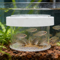 Ipetboom Floating Aquarium Breeding Box with Lid Fish Tank Separate Box for Guppy Fry Small Fish and Baby Transparent Nu
