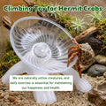 Hermit Crab Wheel Silent Running Exercise Wheel