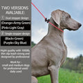 Reflective Slip Lead Leashes Puppy Training Lead – 4.3mm Paracord Rope with 12-Core Strength, 1000lb Pull Force Set of 2