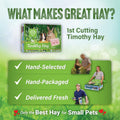Small Pet Select 1st Cutting Timothy Hay for Rabbits & Guinea Pigs, 2 lb