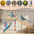 ZooVibe Bird Perches Platform Swing with Climbing Ladder Birds Toys Cage Accessories for Cockatiels, Lovebirds, Pacific Parrotlets,Chinchilla, Hamster Play Gym Exercise Stand