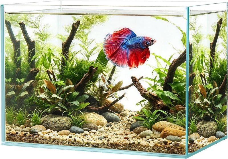 Hjarta 3 Gallons Fish Tank, Ultra-Clear Rimless Aquarium
