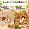 Sukh 5 Pcs Hamster Sprays Natural - Sun Dried Red Sorghum Forage Stalks