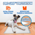 OUT! Petcare Puppy Pads XXL, Heavy Duty, Leak Proof Pee Pads for Dogs, Potty Training & Housebreaking, Puppy Essentials (26"x30", 30 Count)