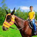 Frienda 4 Pcs Horse Fly Mask with Ears Mesh Comfort, Geometric, Large