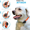 3/4" Orange Replacement Collar Strap, Fits Most Fence & Training Receivers