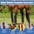 Horse Ice Boots 2 Pack, Horse Leg Wraps for Recovery & Daily Care, Black