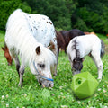 Seenelling 1 Pack Horse Treat Ball, 9" Feeder Toy for Horses