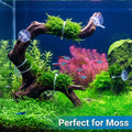 10 Pack Suction Cups with 10 Adjustable Zip Ties for Aquarium Fish Tank Binding Moss Shrimp Dodging Nest