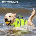 Queenmore Small Dog Life Jacket, Ripstop Safety Dog Life Vest for Swimming