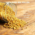 Bee Pollen for Dogs and Cats – Skin & Coat Health, Immune Support – Rich in Vitamins & Minerals – Picky Pet Friendly – 4