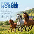 Ivermectin Horse Paste 1.87%, Apple Flavored Equine Dewormer, 1 Pack