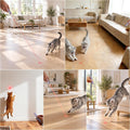 Cat Toy, Distinctive Purple Painted Metal Casing with Paw Print Design, USB Rechargeable, 3 Light Modes & 5 Adjustable Patterns,Interactive Chase Toy for Indoor Cat & Dog & Bird Training & Exercise