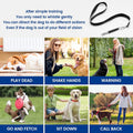 2 Pack Dog Whistle - Dog Whistle to Stop Barking Neighbor's Dog & Long Range Recall, Adjustable Ultrasonic Silent Dog Wh