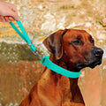 Short Dog Leash - 9 Inch Dogs Lead Grab Tab Heavy Duty Waterproof PVC Dog Training Traffic Leashes for Safety Control Be