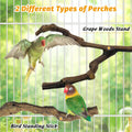 kathson 5pcs Natural Parrot Perch for Cage Wooden Bird Perches Grape Bird Stick Parakeet Climbing Standing Branches Toy 