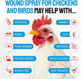 SILVER GRADE Wound Spray for Chicken – Birds & Chicken Antibiotics Alternative to Help with Pecking Sores, Bumblefoot, Cuts – Poultry Spray with Silver – GMOs Free – 4-Oz Bottle