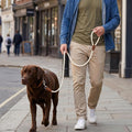 Mile High Life Dog Leash Braided Cotton Rope with Leather-Reinforced Ends