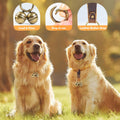 Geehouz Loud Dog Collar Bells, Durable Pet Bells Tracker for Large Dogs, 4 Copper ells and 2 Leather Button Strap for Outdoor Safety, Pet Tracking, Hiking, Walking