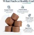 Veterinary Formula Smart Vitality Gut Health Soft Chews for Dogs