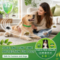 4 Pack Dog Flea Collars for Small Medium Large Dogs, Adjustable