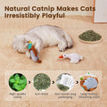 Potaroma Birds Cat Toys, 2 Pack Catnip Toys Soft Durable, Crinkle Sound Kicker Toys for Interactive Indoor Kitten Exercise 6.5 Inches for All Breeds