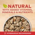 Purina ONE Plus Healthy Weight Wet Dog Food, Tender Cuts, (12) 13oz Cans