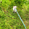 3 Pack Adjustable Hamster Leash Harness, Walking Lead for Small Animals