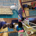 PINVNBY Hay Mats for Rabbits,12 Pack Natural Rabbit Grass Mat,Small Animal Woven Bed Resting Sleeping,Chewing,Nesting an