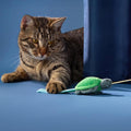 GRRREEN Cat Toys | Plush Turtle Teaser Cat Wand Toy | Eco Friendly Interactive Cat Toys for Indoor Cats
