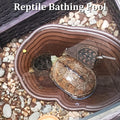 Reptile Water Dish with Ramp Turtle Bathing Pool 7 Pcs Feeding Bowl